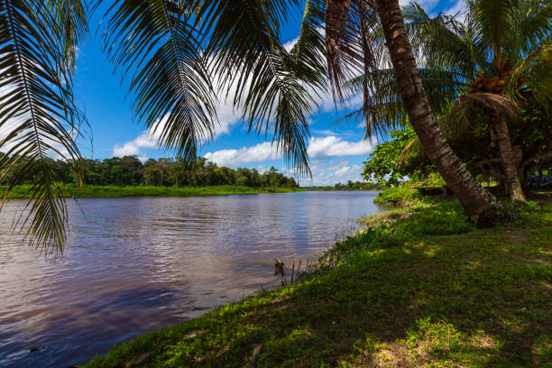 Groningen Saramacca District North Of Suriname