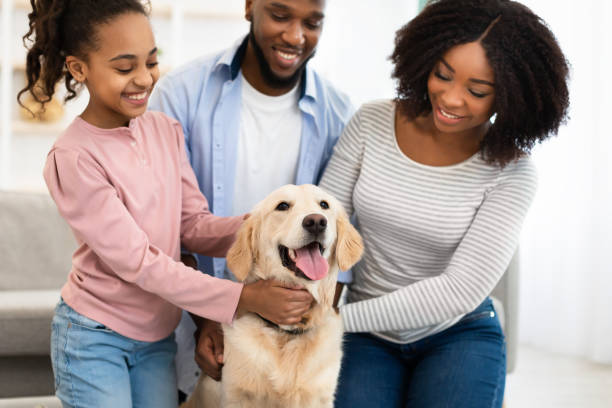 istock Young black family hugging dog posing at home 1322838427