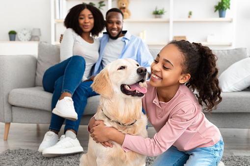 Adopt An Animal. Closeup portrait of cheerful African American girl embracing her labrador from shelter, spending time with parents in living room at home, man and woman sitting on the sofa
