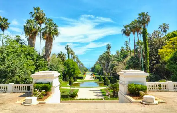 the beauty of the Hamma botanical garden in Algiers