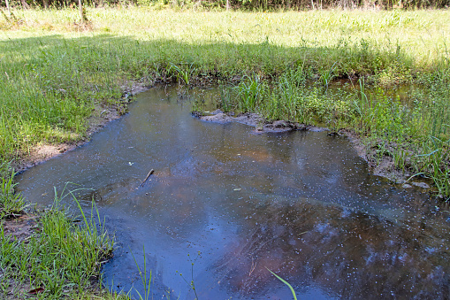 Stagnant water in field