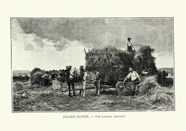 istock Farmer workers harvesting hay on to a wagon, Victorian agriculture, 19th Century 1322843008
