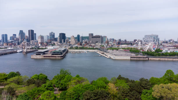 downtown montreal cityscape aerial view und st. lawrence river im sommer bei sonnenuntergang - rathaus von montréal stock-fotos und bilder