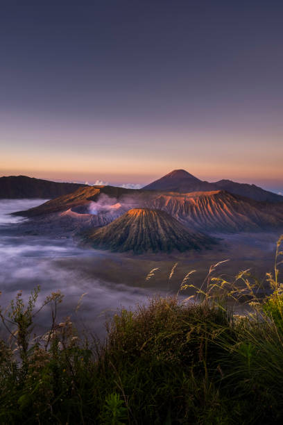 istock Beautiful Mount Bromo, Indonesia with flower in the foreground 1322845485