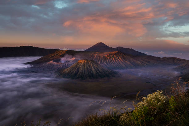 istock Beautiful Mount Bromo, Indonesia with flower in the foreground 1322845671
