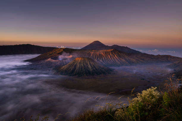 istock Beautiful Mount Bromo, Indonesia with flower in the foreground 1322845957