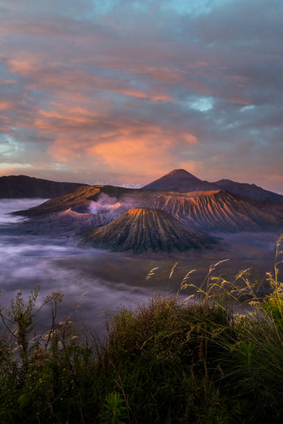 istock Beautiful Mount Bromo, Indonesia with flower in the foreground 1322846014