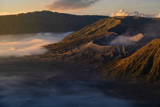 istock Beautiful Mount Bromo, Indonesia with flower in the foreground 1322846211