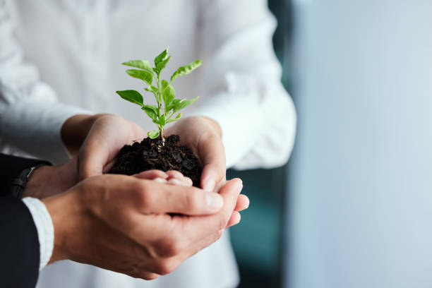 istock Shot of two colleagues holding plants 1322848775