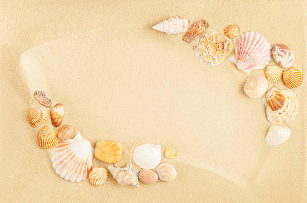 istock Frame of seashells on sand 1322848843