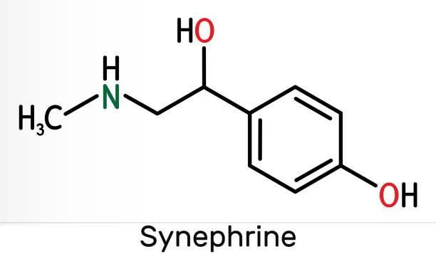 illustrazioni stock, clip art, cartoni animati e icone di tendenza di sinerefrina, molecola di p-sinerefrina. è fenetilammina alcaloide. formula chimica scheletrica - phenethylamine