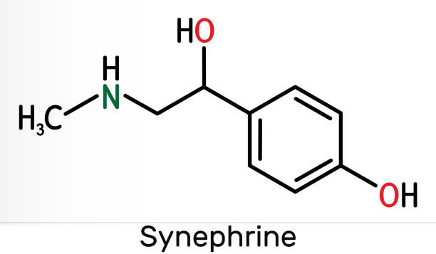 синефрин, молекула р-синефрина. это фенэтиламин алкалоид. скелетная химическая формула - phenethylamine stock illustrations