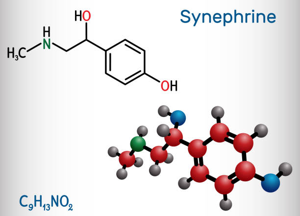 illustrazioni stock, clip art, cartoni animati e icone di tendenza di sinerefrina, molecola di p-sinerefrina. è fenetilammina alcaloide. formula chimica strutturale e modello molecolare - phenethylamine