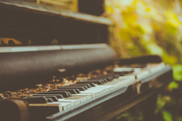 old piano in the garden.soft focus.vintage style. - sepia toned floral imagens e fotografias de stock