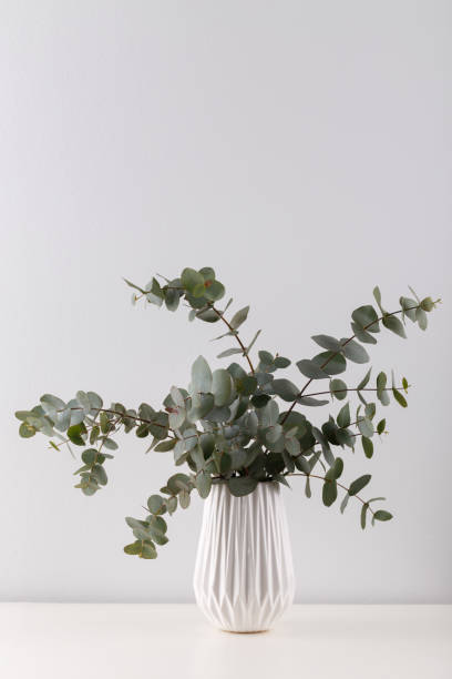 istock Bouquet of eucalyptus 1322852835