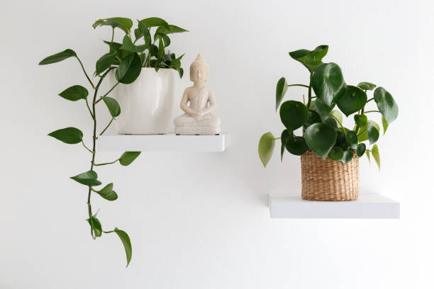 istock Houseplants and buddha statue 1322852953
