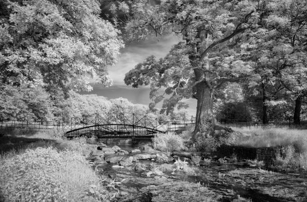 istock The River Misbourne In Great Missenden In Infrared 1322857794