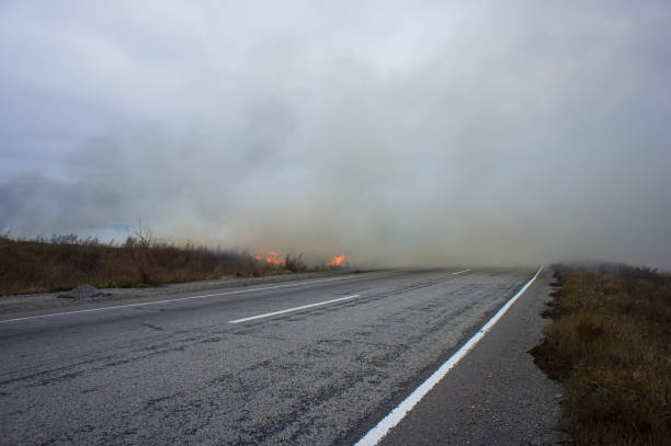 istock Car road in the smoke while burning dry grass in the steppe. 1322858737