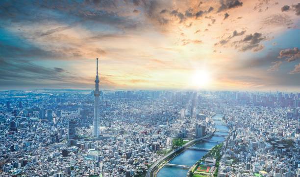 istock Aerial view of central Tokyo 1322862973