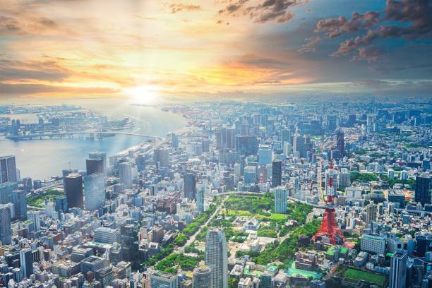 istock Aerial view of central Tokyo 1322863056