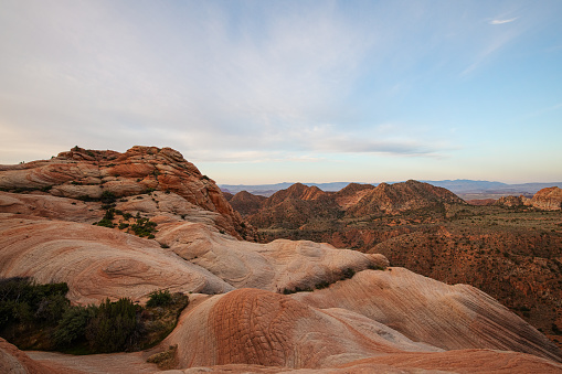 Desert sandstone at dawn