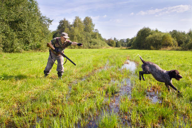 istock hunter commanded the dog to search for game 1322864829