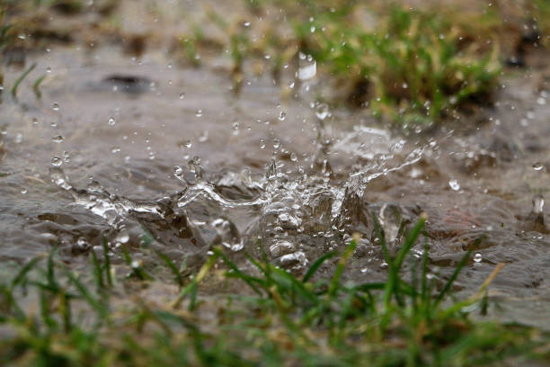 istock hard rain is falling in a puddle in the garden 1322865393