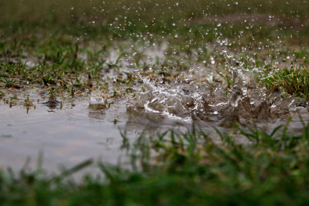 istock hard rain is falling in a puddle in the garden 1322866893