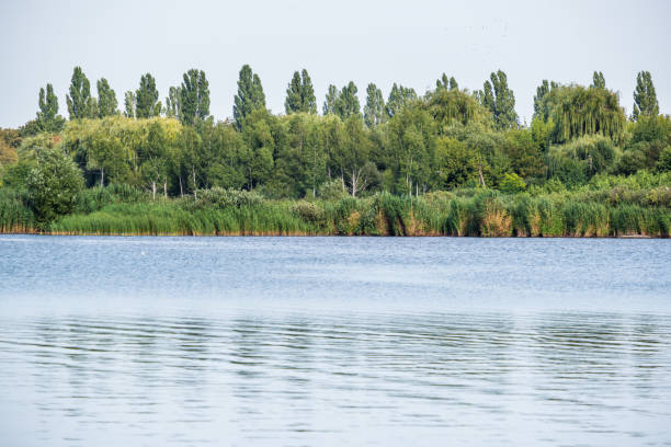Summer hazy day on picturesque lake