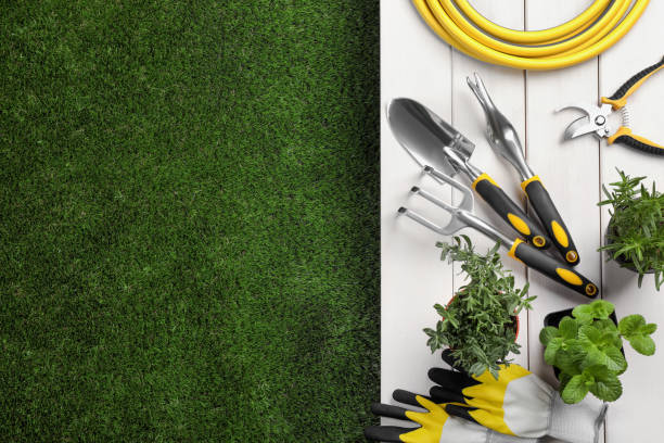 istock Different gardening tools and plants on green grass, flat lay. Space for text 1322870435