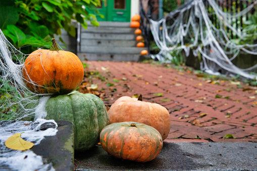 Pumpkins on the steps at the house.