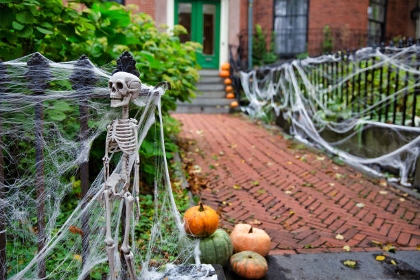 istock Skeleton and spider web on the fence. 1322871832