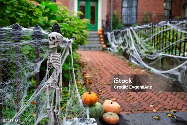 Skeleton And Spider Web On The Fence Stock Photo - Download Image Now - Halloween, Trick Or Treat, Spooky