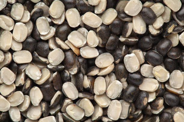 istock micro Close up of Organic split black urad dal (Vigna mungo) with shell Full-Frame Background. Top View 1322872168