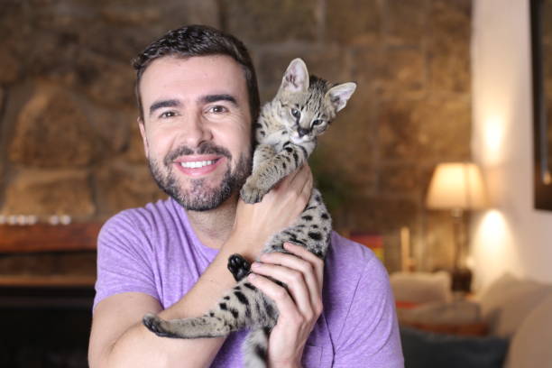 istock Cute guy and stunning hybrid cat 1322872486