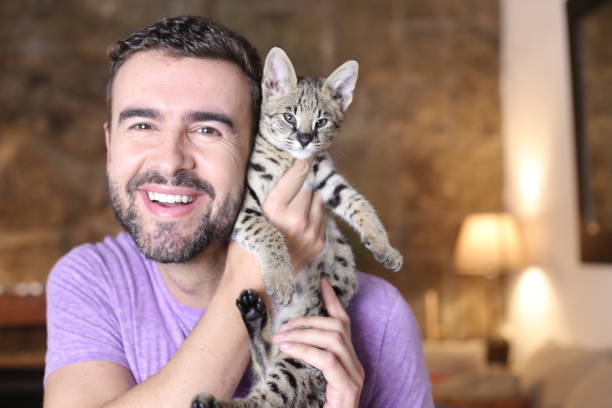 istock Cute guy and stunning hybrid cat 1322872496