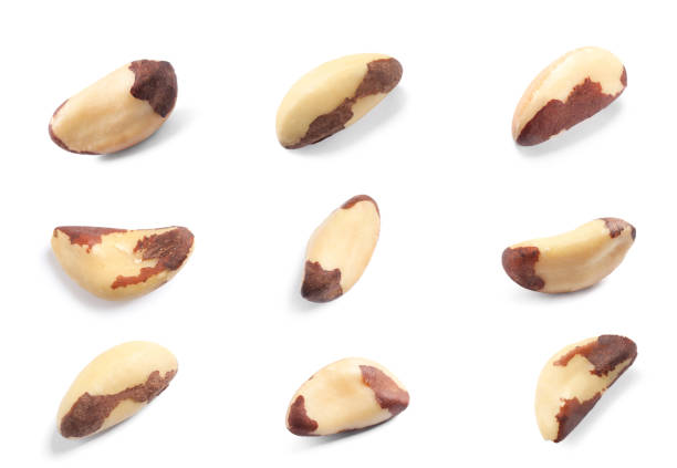 istock Set with tasty Brazil nuts on white background 1322872529
