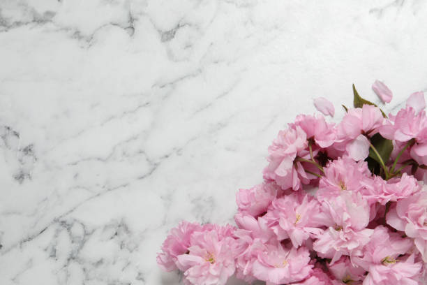 istock Beautiful sakura tree blossoms on white marble table, flat lay. Space for text 1322873233