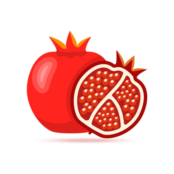 illustrazioni stock, clip art, cartoni animati e icone di tendenza di icona del vettore frutta di melograno intero. illustrazione piatta di melograno aperta. - arils