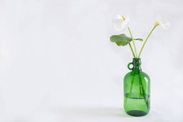 istock a decorative flower in a vase 1322876157