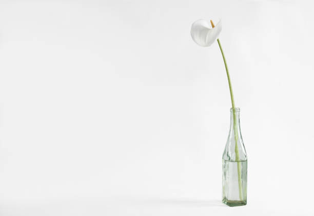 istock a decorative flower in a vase 1322876159