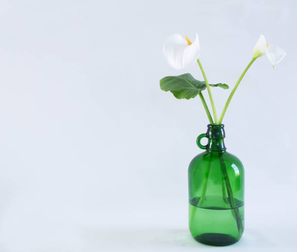 istock a decorative flower in a vase 1322876185