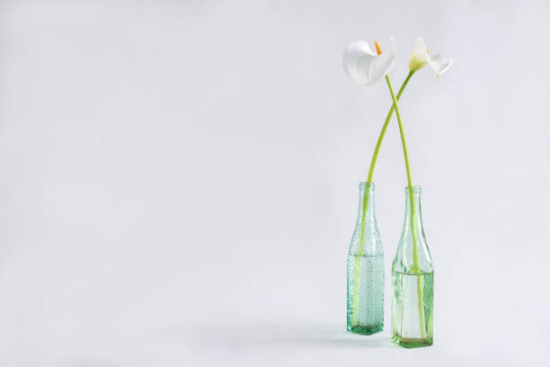 istock a decorative flower in a vase 1322876206