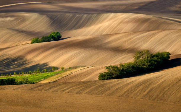 istock Moravian fields, Moravia, Czech Republic, around the village Kyjov 1322878024