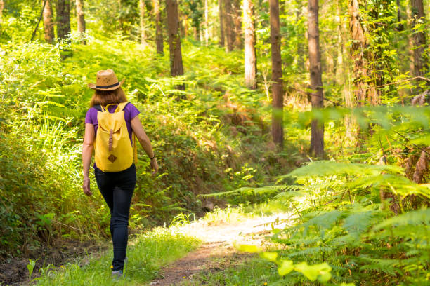 istock A young woman with a hat walking with a yellow backpack through the forest pines, hiker lifestyle concept, copy and paste space, forests of the Basque country. Spain 1322879422