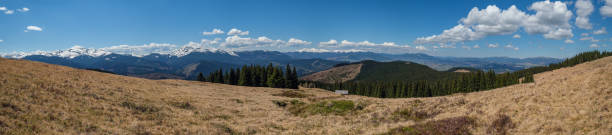 istock Carpathian mountain plateau spring panorama with blooming purple violet Crocus heuffelianus alpine flowers, Ukraine. 1322881862