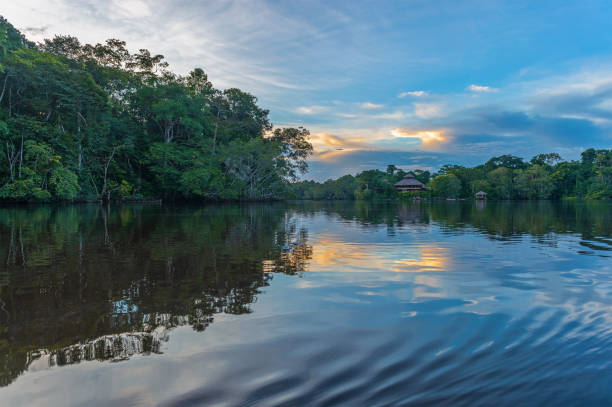Amazon Rainforest Landscape Amazon rainforest reflection at sunset, Yasuni national park. The Amazon jungle is located in the countries of Brazil, Bolivia, Colombia, Ecuador, French Guyana, Peru, Suriname, Venezuela. guatemala landscape stock pictures, royalty-free photos & images