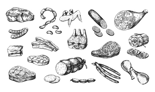 Hand drawn meat products. Parts of pork and beef, pieces with bones or fillets. Smoked chicken. Sausages and ham. Butchery shop menu. Isolated cooking ingredients. Vector detailed monochrome food set