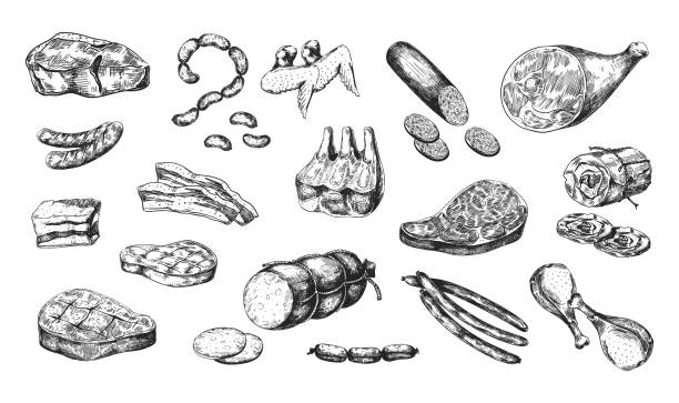 Hand drawn meat products. Parts of pork and beef, pieces with bones or fillets. Smoked chicken. Sausages and ham. Butchery shop menu. Cooking ingredients. Vector monochrome food set Hand drawn meat products. Parts of pork and beef, pieces with bones or fillets. Smoked chicken. Sausages and ham. Butchery shop menu. Isolated cooking ingredients. Vector detailed monochrome food set pork illustrations stock illustrations