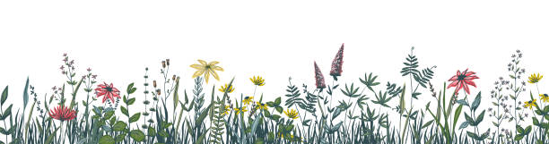 istock Flower border. Floral horizontal banner with spring and summer blooming herbs. Blossom and green stems with leaves. Hand drawn plant ornament template. Vector elegant pastel illustration 1322887465